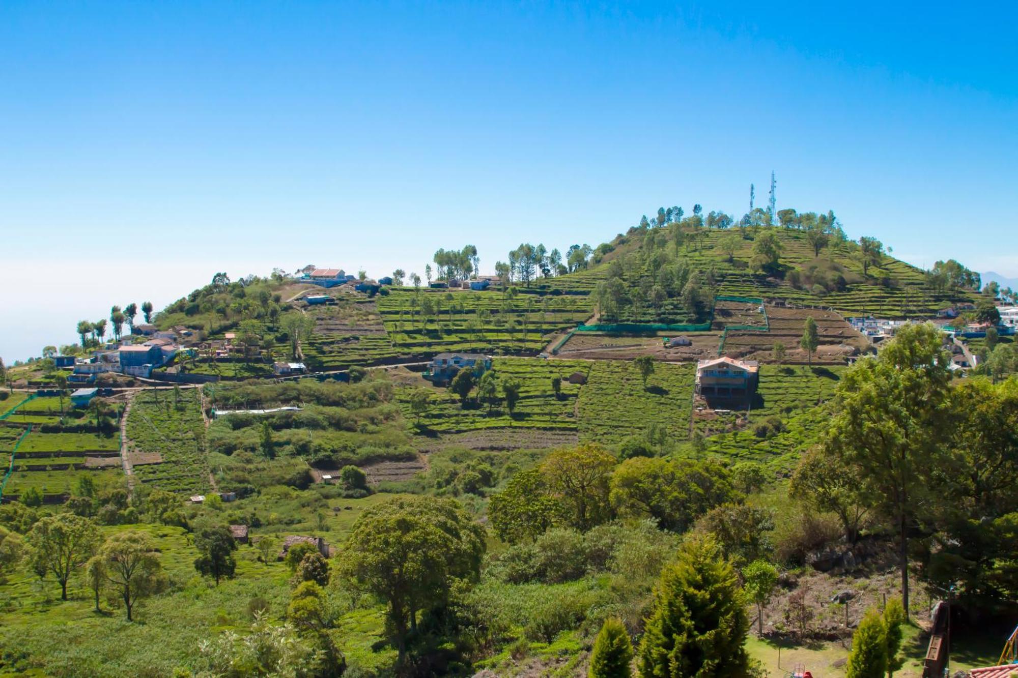 The Royale Ridge Hotel Kotagiri Exterior photo